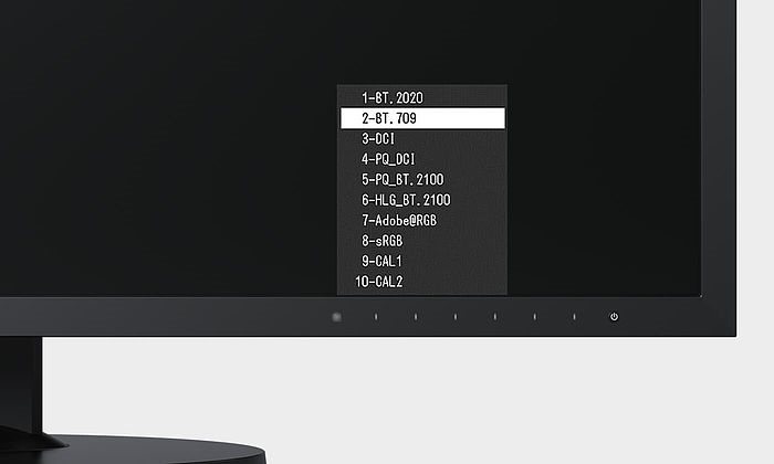 LCD-Bildschirm 31,5" EIZO ColorEdge CG319X