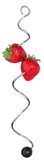 WMF 618086040 Accessories