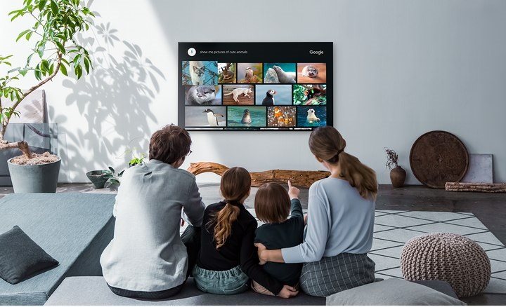 Android TV Sony Bravia KD-49XG8396