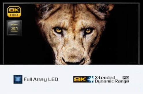 Sony Bravia ZH8