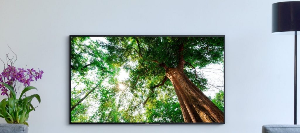 Sony Bravia KD-65XD9305