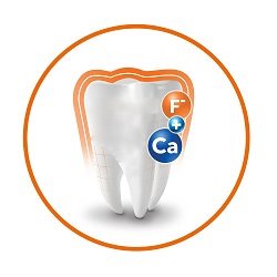 Zubná pasta ELMEX Caries Protection