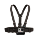 Příslušenství GoPro na skateboarding