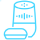 Amazon Alexa Voice Assistants