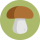 Knihy o houbách a houbaření