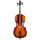 Violončelá Proline