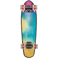 Skateboard cruiser