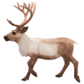 Animal Planet (Mojo) figurky