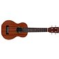 Cordoba Protégé U1S Soprano Ukulele - Ukulele