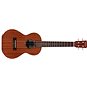 Cordoba Protégé U1T Tenor Ukulele - Ukulele