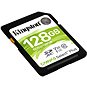 Kingston SDXC 128GB Canvas Select Plus - Paměťová karta