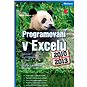 Programování v Excelu 2010 a 2013 - Elektronická kniha
