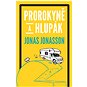 Prorokyně a hlupák - Elektronická kniha