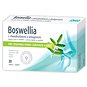 Favea Boswellia s kolagenem a chondroitinem 30 tablet - Kolagen