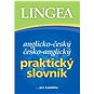 Anglicko-český česko-anglický praktický slovník: ... pro každého - Kniha