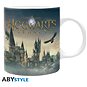 Hrnek Hogwarts Legacy - Castle - hrnek - Hrnek