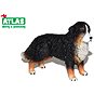Atlas Bernský salašnický pes - Figurka