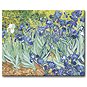 Malování podle čísel - Kosatce (Van Gogh) - Malování podle čísel