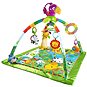 Fisher-Price Luxusní Hrací Dečka Rainforest s hrazdičkou - Hrací deka