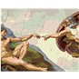 Malování podle čísel - Stvoření Adama (Michelangelo) - Malování podle čísel