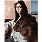 Malování podle čísel - Portrét mladého muže (Raphael) - Malování podle čísel