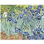 Malování podle čísel - Kosatce (van Gogh) - Malování podle čísel