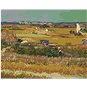 Zuty - Malování podle čísel - SKLIZEŇ (VINCENT VAN GOGH), 80x100 cm, vypnuté plátno na rám - Malování podle čísel