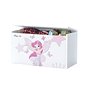 Truhla BabyBoo Box na hračky s motivem Little Princess - Truhla