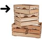 Úložný box T-Wood Bedýnka Mini - Úložný box