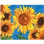 Slunečnice podle Van Gogha - Malování podle čísel
