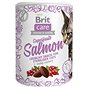 Pamlsky pro kočky Brit Care Cat Snack Superfruits Salmon  100 g - Pamlsky pro kočky