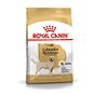 Royal Canin Labrador Adult 12 kg - Granule pro psy