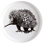 Maxwell & Williams Talíř 20 cm MARINI FERLAZZO, Echidna - Talíř
