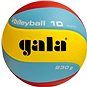 Gala Volleyball 10 BV 5651 S - 230g - Volejbalový míč