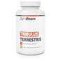 Anabolizér GymBeam Tribulus Terrestris 120 tbl - Anabolizér