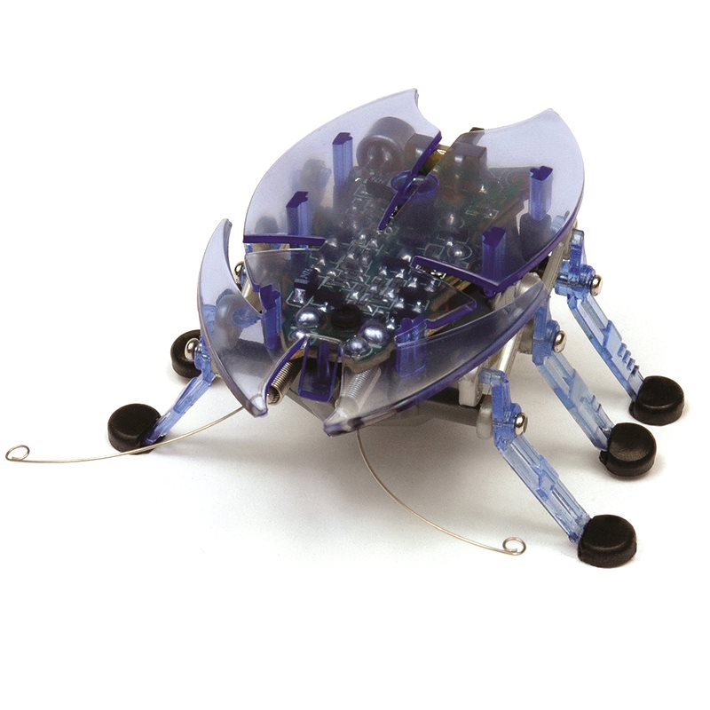 blue hex bug