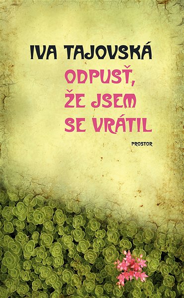 Prostor
