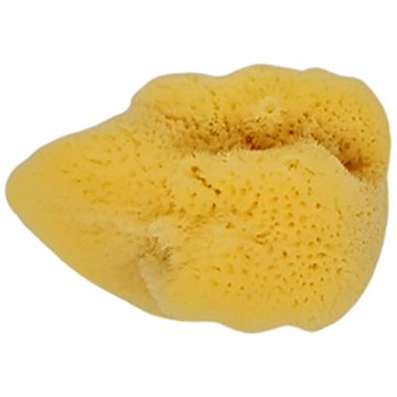

Adonis Mořská houba SILK 9-10 cm