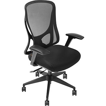 

AlzaErgo Chair Oasis 1 černá