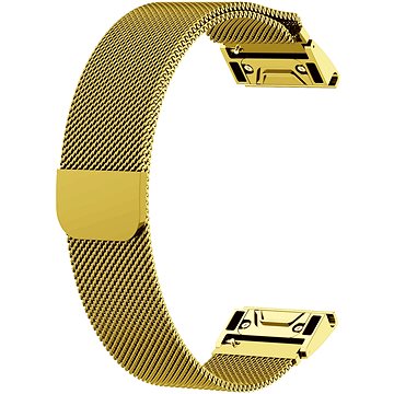 

Eternico Elegance Milanese Band Steel Silver Buckle pro Garmin QuickFit 20mm zlatý