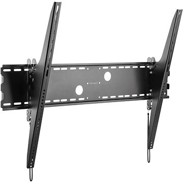 AlzaErgo TXL10B Plate XL sklopný 60"-100"