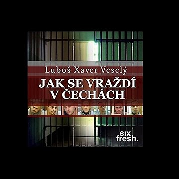 

Jak se vraždí v Čechách