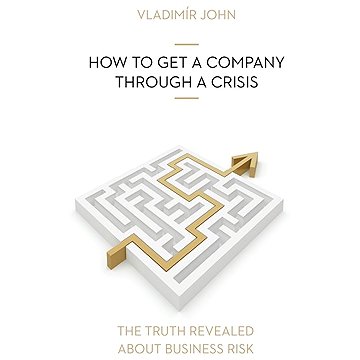 

HOW TO GET A COMPANY THROUGH A CRISIS