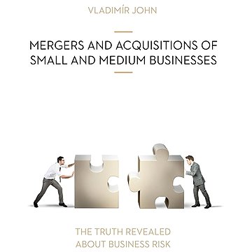 

MERGERS AND ACQUSITIONS OF SMALL AND MEDIUM BUSINESSES