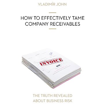 

HOW TO EFFECTIVELY TAME COMPANY RECEIVABLES