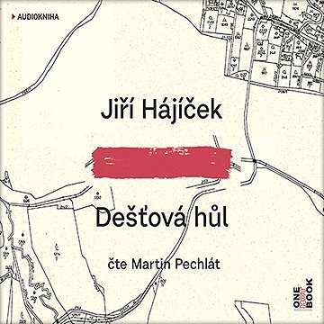 

Dešťová hůl