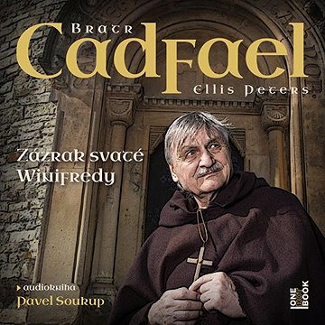

Zázrak svaté Winifredy
