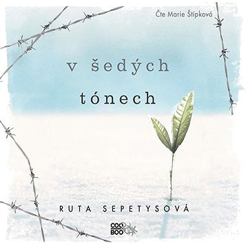 

V šedých tónech