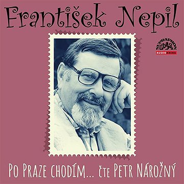 

Po Praze chodím…
