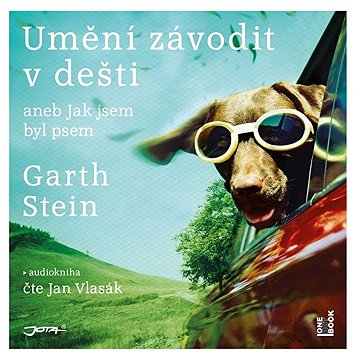 

Umění závodit v dešti